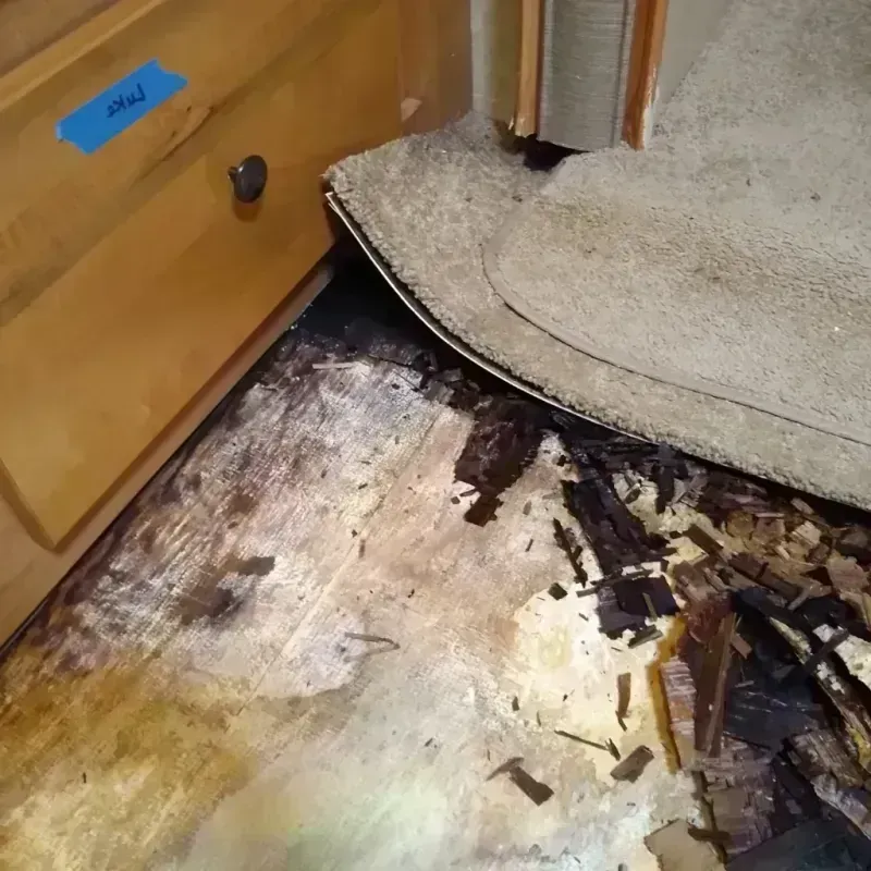 Wood Floor Water Damage in The Bronx, NY